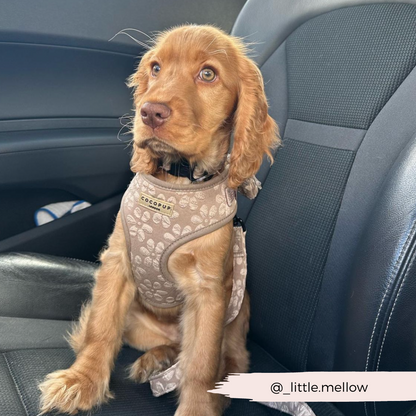 Luxe Adjustable Neck HARNESS- Mocha Flower