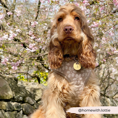 Luxe Adjustable Neck HARNESS- Mocha Flower