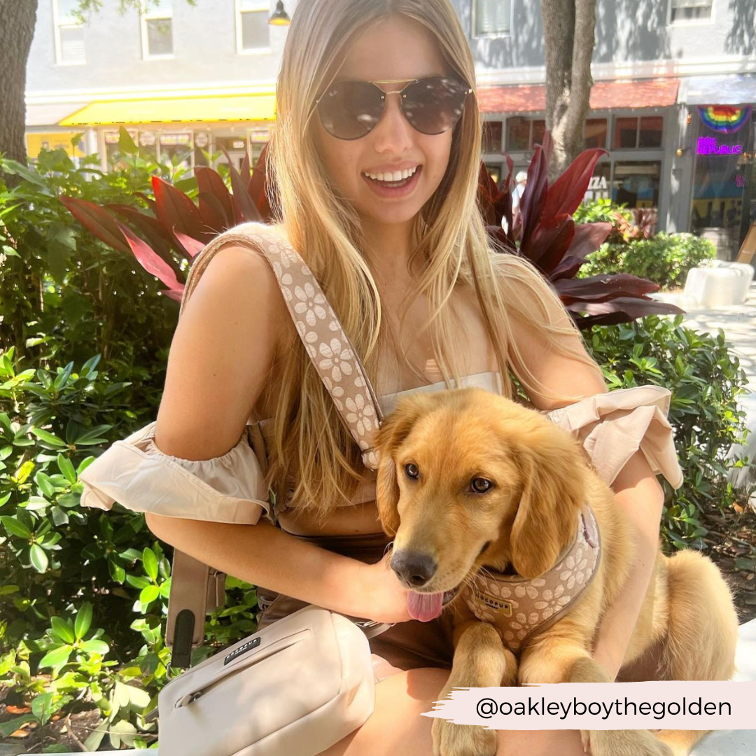 Luxe Adjustable Neck HARNESS- Mocha Flower