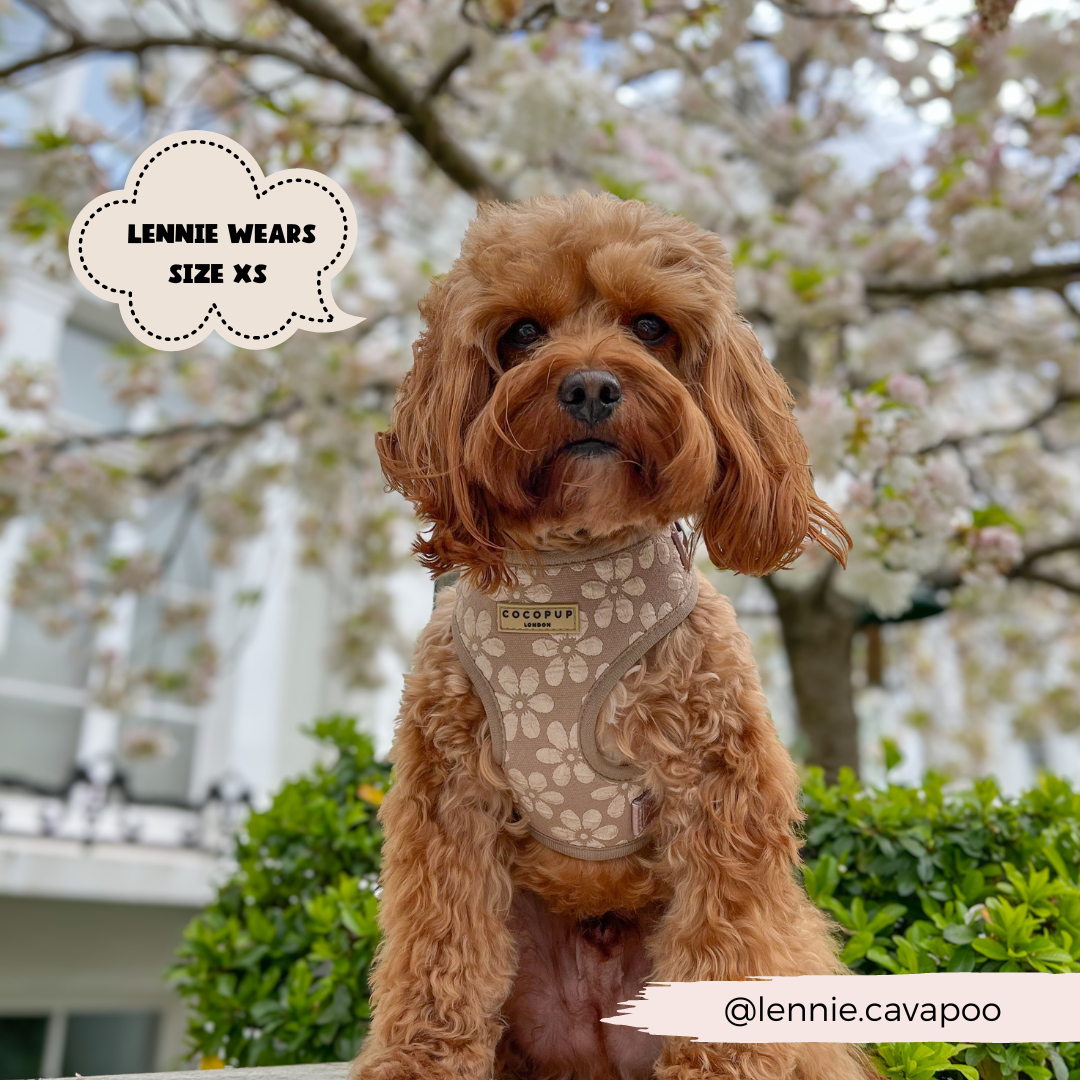 Luxe Adjustable Neck HARNESS- Mocha Flower