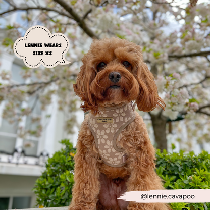 Luxe Adjustable Neck HARNESS- Mocha Flower