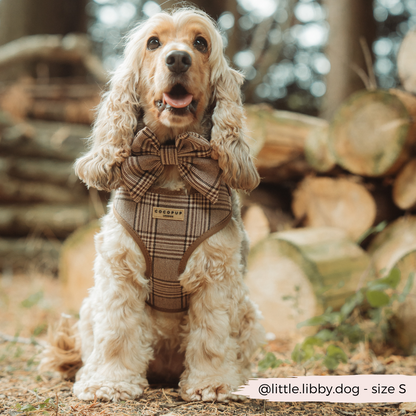 Pup Plaid Adjustable Neck HARNESS