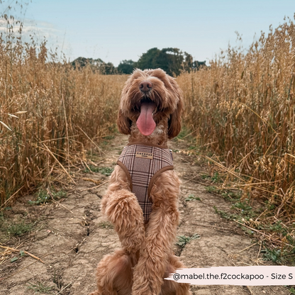 Pup Plaid Adjustable Neck HARNESS