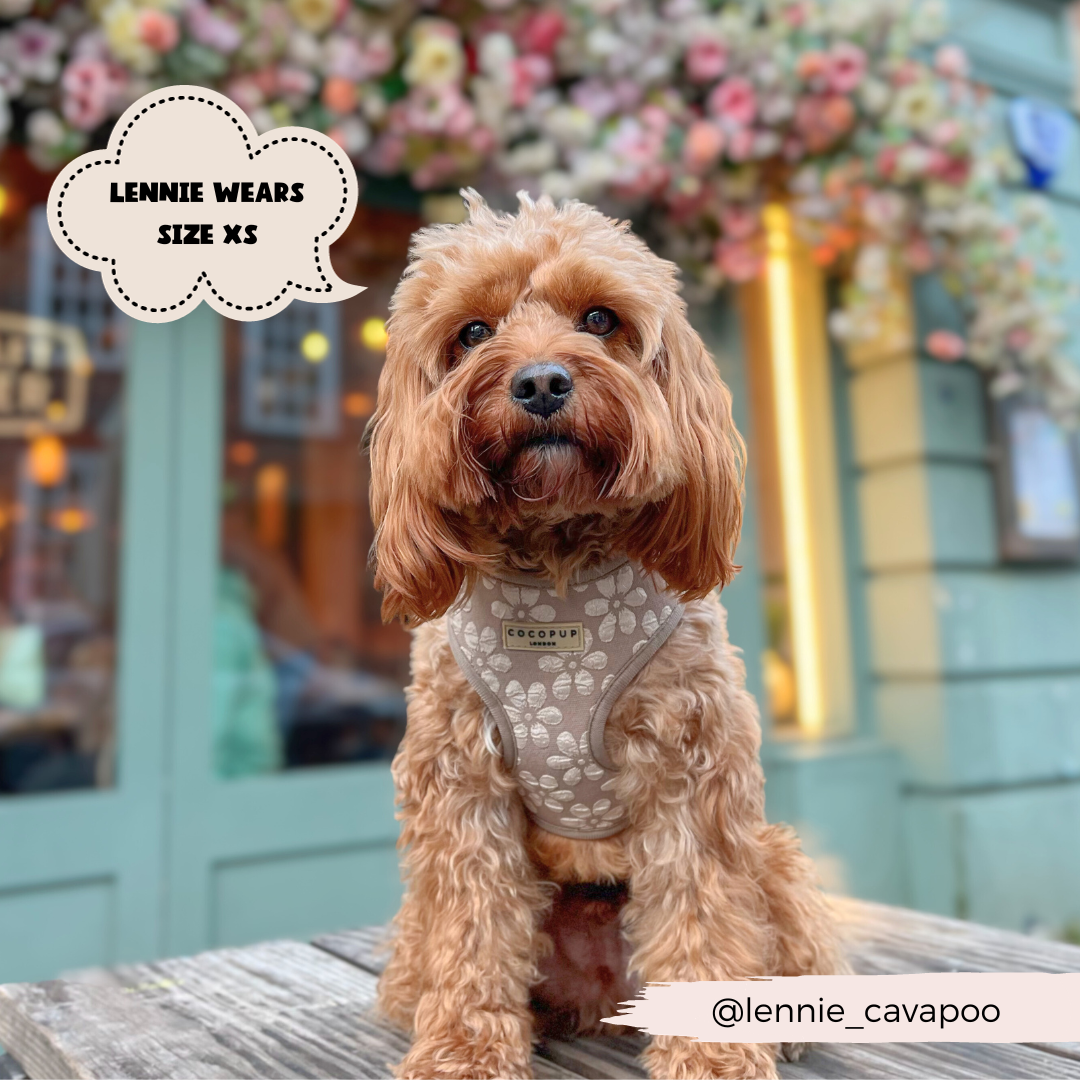 Luxe Adjustable Neck HARNESS- Mocha Flower