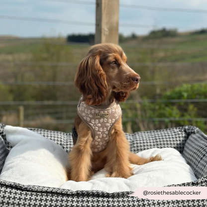 Luxe Adjustable Neck HARNESS- Mocha Flower