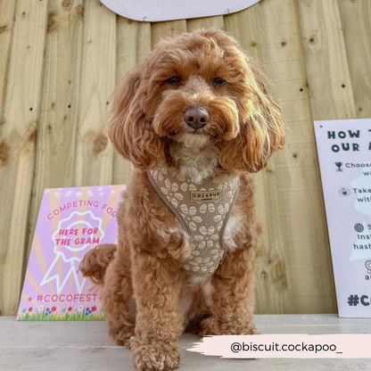 Luxe Adjustable Neck HARNESS- Mocha Flower