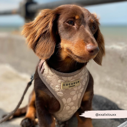 Luxe Adjustable Neck HARNESS- Mocha Flower