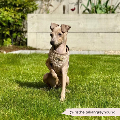 Luxe Adjustable Neck HARNESS- Mocha Flower