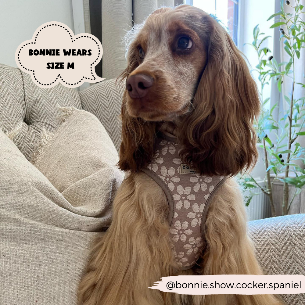 Luxe Adjustable Neck HARNESS- Mocha Flower