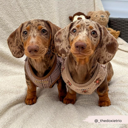 Pup Plaid Adjustable Neck HARNESS