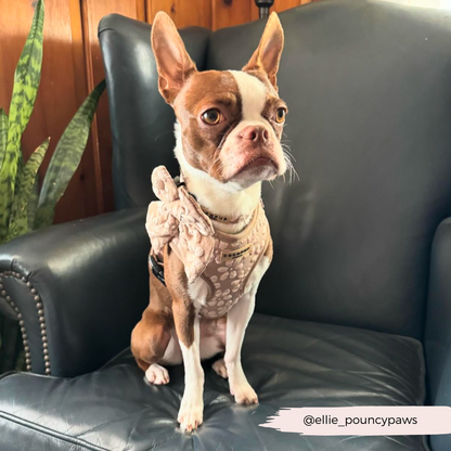 Luxe Adjustable Neck HARNESS- Mocha Flower