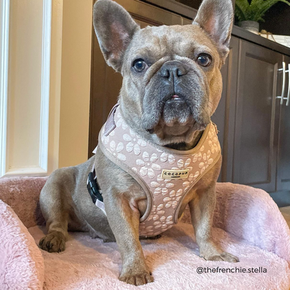 Luxe Adjustable Neck HARNESS- Mocha Flower