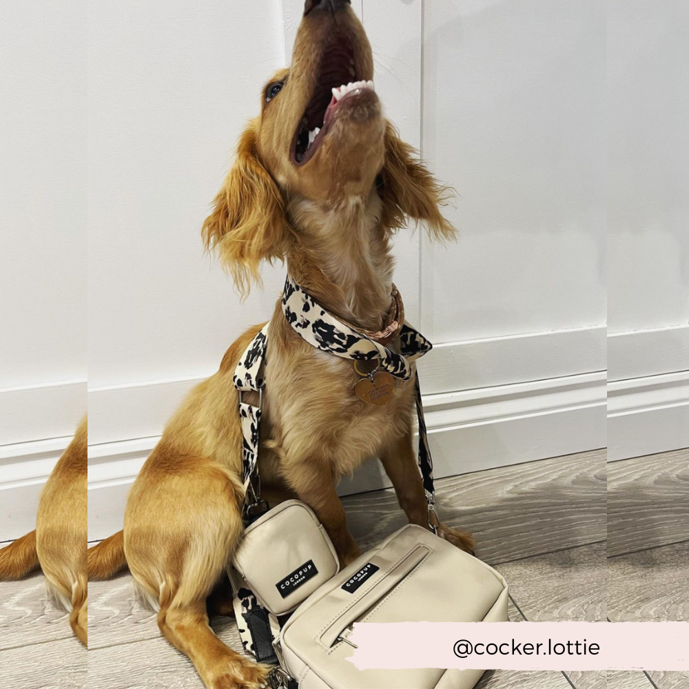 Dog Walking Bag Bundle - Ivory Tort