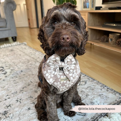 Luxe Adjustable Neck HARNESS- Mocha Flower