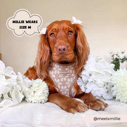 Luxe Adjustable Neck HARNESS- Mocha Flower