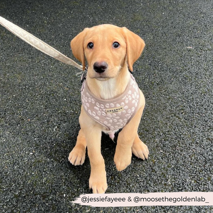 Luxe Adjustable Neck HARNESS- Mocha Flower