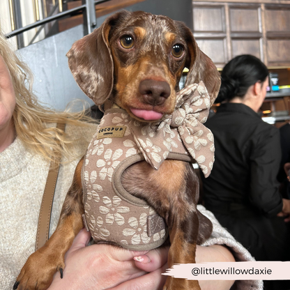 Luxe Adjustable Neck HARNESS- Mocha Flower