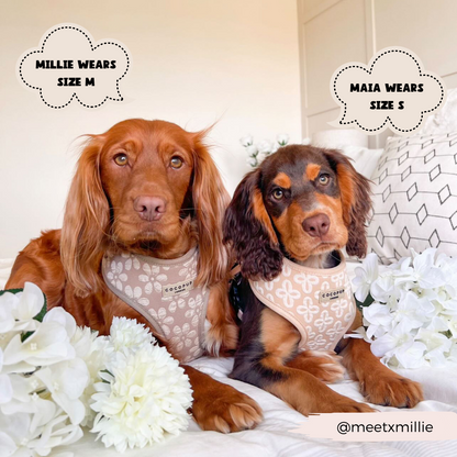 Luxe Adjustable Neck HARNESS- Mocha Flower