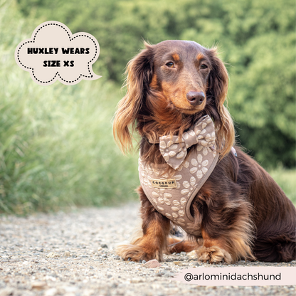 Luxe Adjustable Neck HARNESS- Mocha Flower