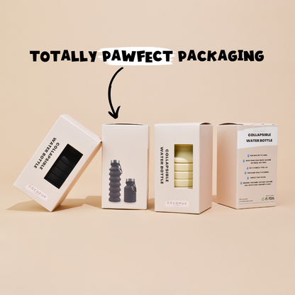 Collapsible Water Bottle - Black