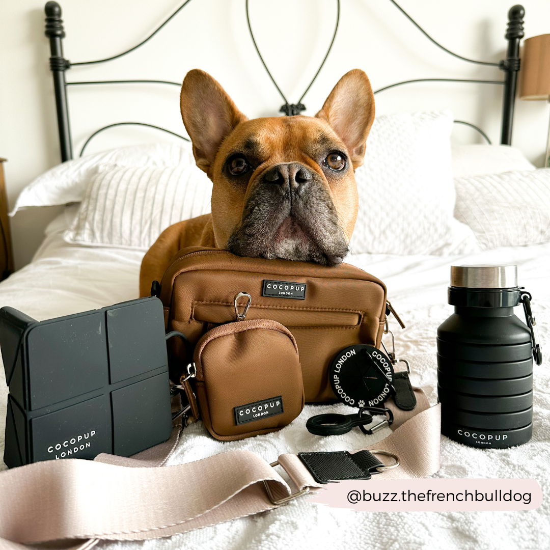 Collapsible Water Bottle - Black